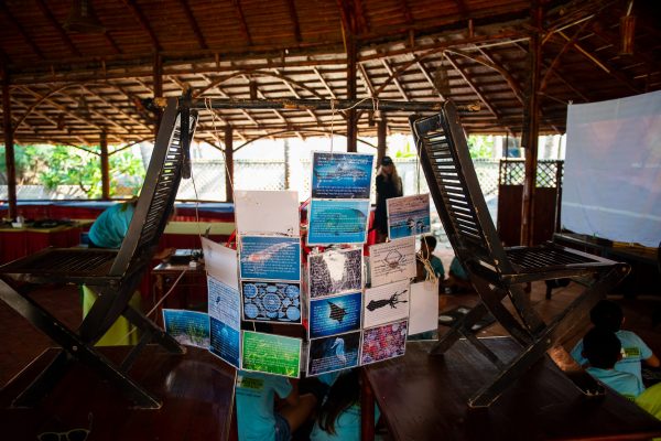 photo_14-06-2020_029