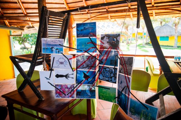 photo_14-06-2020_031